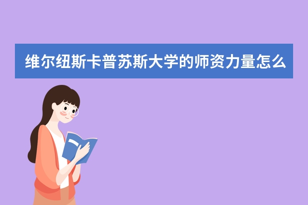 维尔纽斯卡普苏斯大学的师资力量怎么样？