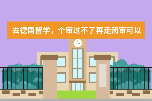 去德国留学，个审过不了再走团审可以吗？