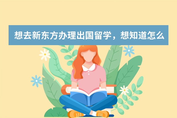 想去新东方办理出国留学，想知道怎么个流程，知道的拜托说明一下，谢谢！