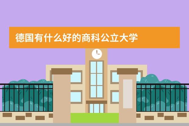 德国有什么好的商科公立大学